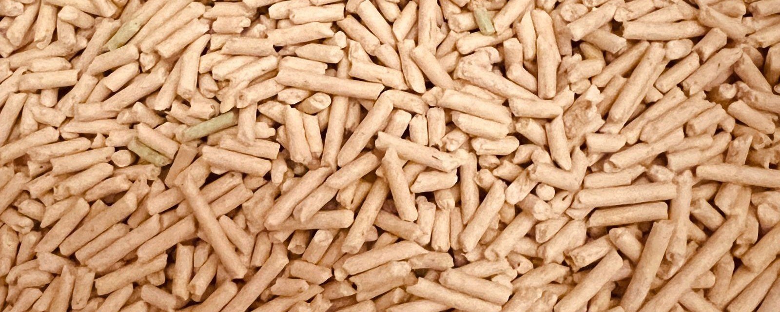 Pellet- & Kombikessel